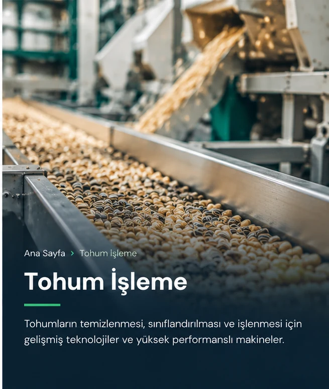 Tohum işleme tesisi ve tahıl siloları