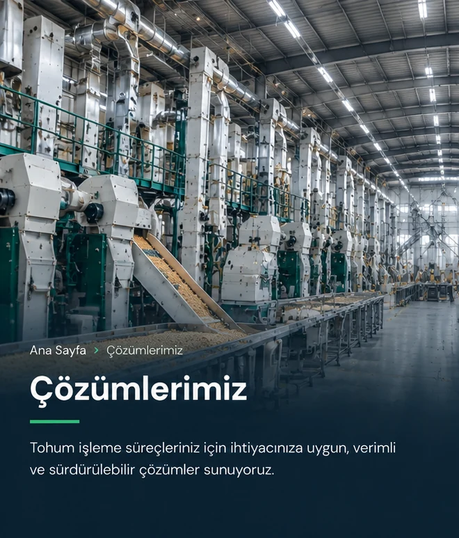 Tohum işleme tesisi ve tahıl siloları