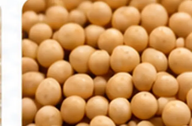 Soya Fasulyesi İşleme